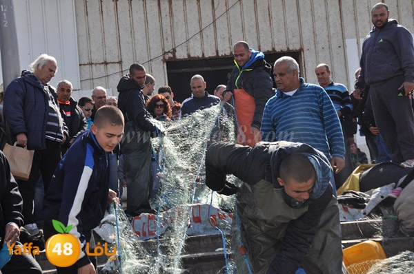 samak denisss (31).JPG